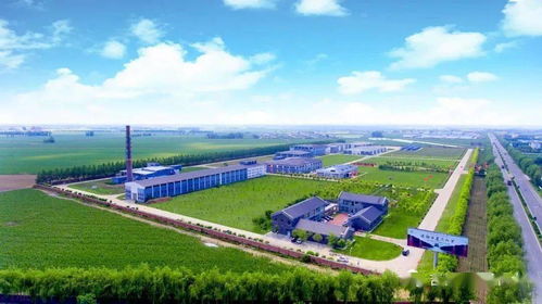 榆樹錢揭牌成立中國北方白酒新技術與新產品聯合研發中心，引領技術開發新篇章